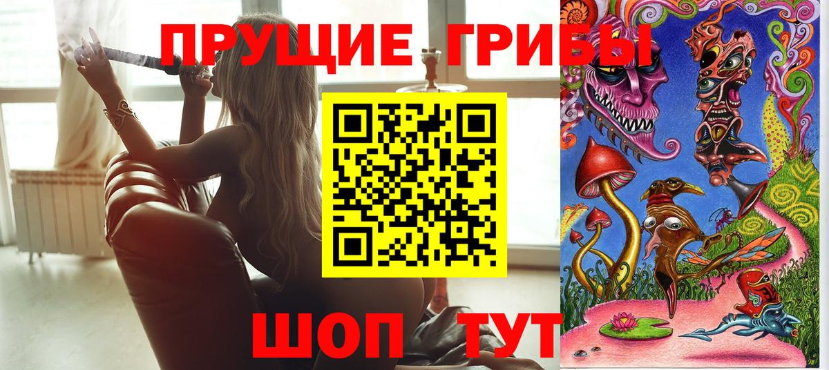 Псилоцибиновые грибы MAGIC MUSHROOMS Сегежа