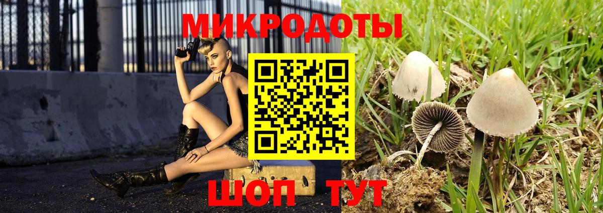 Псилоцибиновые грибы прущие грибы  Галлюциногенные грибы MAGIC MUSHROOMS  Сегежа  Вход с VPN 